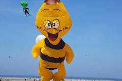 Berck sur mer 2018
