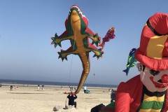 Berck sur mer 2018