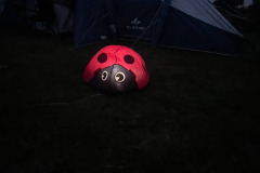 Drachenfest Lünen  (Dl) 11 en 12 Oktober 2025