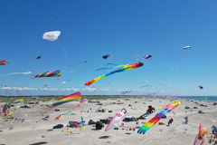 Kite Meeting Fano Denemarken 13 t/m 20 Juni 2026
