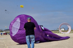Kite Meeting Fano Denemarken 13 t/m 20 Juni 2026