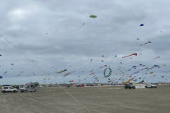 Kite Meeting Fano Denemarken 13 t/m 20 Juni 2026