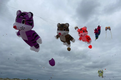 Kite Meeting Fano Denemarken 13 t/m 20 Juni 2026