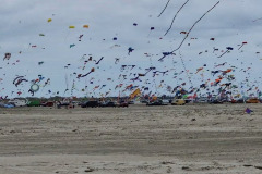 Kite Meeting Fano Denemarken 13 t/m 20 Juni 2026