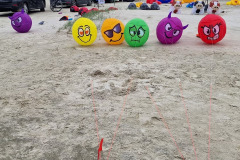 Kite Meeting Fano Denemarken 13 t/m 20 Juni 2026