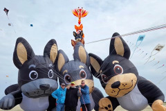 Kite Meeting Fano Denemarken 13 t/m 20 Juni 2026