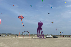 Kite Meeting Fano Denemarken 13 t/m 20 Juni 2026