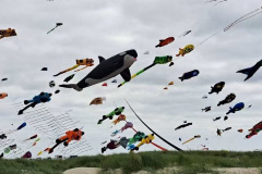 Kite Meeting Fano Denemarken 13 t/m 20 Juni 2026