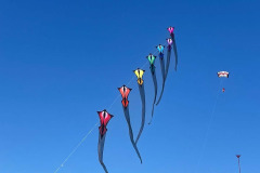 Kite Meeting Fano Denemarken 13 t/m 20 Juni 2026