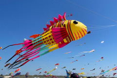 Kite Meeting Fano Denemarken 13 t/m 20 Juni 2026
