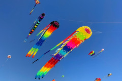 Kite Meeting Fano Denemarken 13 t/m 20 Juni 2026