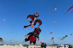 Kite Meeting Fano Denemarken 13 t/m 20 Juni 2026