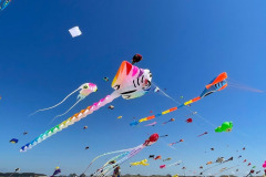 Kite Meeting Fano Denemarken 13 t/m 20 Juni 2026