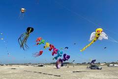Kite Meeting Fano Denemarken 13 t/m 20 Juni 2026