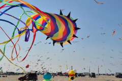 Kite Meeting Fano Denemarken 13 t/m 20 Juni 2026