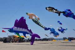 Kite Meeting Fano Denemarken 13 t/m 20 Juni 2026
