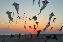 Kite Meeting Fano Denemarken 13 t/m 20 Juni 2026