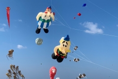 Kitefestival Berck sur Mer (Fr).  11 t/m 14 april 2019.