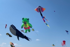 Kitefestival Berck sur Mer (Fr).  11 t/m 14 april 2019.