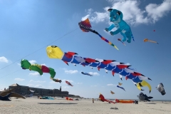 Kitefestival Berck sur Mer (Fr).  11 t/m 14 april 2019.
