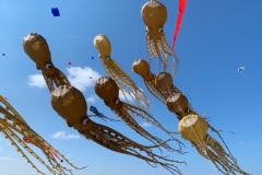 Kitefestival Berck sur Mer (Fr).  11 t/m 14 april 2019.