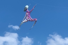 Kitefestival Berck sur Mer (Fr).  11 t/m 14 april 2019.