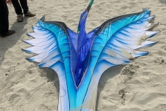 Kitefestival Berck sur Mer (Fr).  11 t/m 14 april 2019.