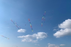 Kitefestival Berck sur Mer (Fr).  11 t/m 14 april 2019.