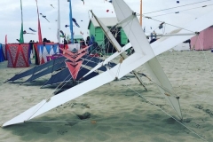 Kitefestival Berck sur Mer (Fr).  11 t/m 14 april 2019.