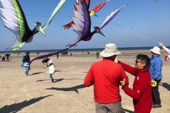 Kitefestival Berck sur Mer (Fr).  11 t/m 14 april 2019.