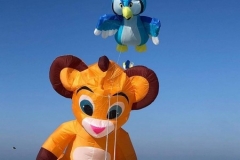 Kitefestival Berck sur Mer (Fr).  11 t/m 14 april 2019.