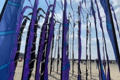 Kitefestival Berck sur Mer (Fr).  11 t/m 14 april 2019.