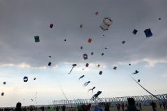 Kitefestival Berck sur Mer (Fr).  11 t/m 14 april 2019.