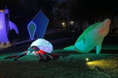 Lichtjesavond Schoenmakershoek 06-09-2025