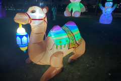 Lichtjesavond Schoenmakershoek 06-09-2025