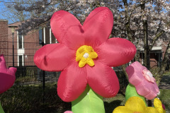 Lichtjesfestival Amarant Tilburg 21-03-2026