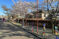 ILichtjesfestival Amarant Tilburg 21-03-2026