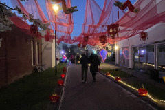 Lichtjesfestival Amarant Tilburg 21-03-2026