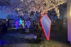 Lichtjesfestival Amarant Tilburg 21-03-2026