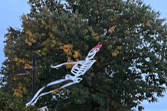 Lichtjesfestival Halloween Rijsbergen 28-10-2023