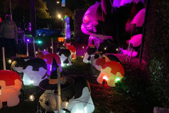 Lichtjesfestival Halloween Rijsbergen 28-10-2023