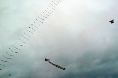Oostvoorne wereldvredes vliegerdag 10 oktober 1999