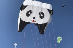 Panda lifter