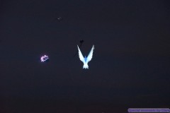 Rijsbergse Vliegerdagen 17 en 18 augustus 2019