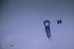 Rijsbergse Vliegerdagen 17 en 18 augustus 2019