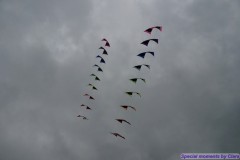 Rijsbergse Vliegerdagen 17 en 18 augustus 2019