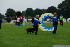 Rijsbergse Vliegerdagen 17 en 18 augustus 2019