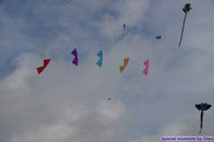 Rijsbergse Vliegerdagen 17 en 18 augustus 2019