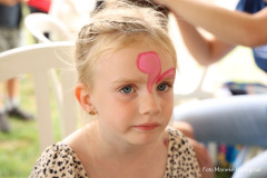 Rijsbergse Vliegerdagen 16 en 17 Augustus 2025