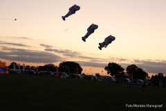 Rijsbergse Vliegerdagen 16 en 17 Augustus 2025